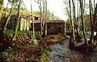 MUÍÑO DO BRIÑAL