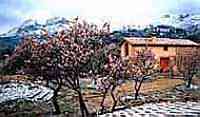 CASA RURAL LA CASOTA II