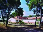 FINCA CORRALDE RAMAS