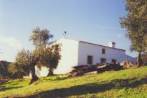 LOMA DE BUENAVISTA