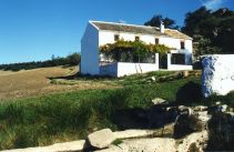 CORTIJO CEVICO