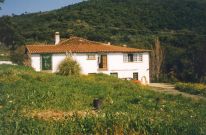 EL COLLADO