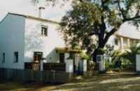 MI SOLETE