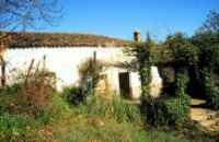 FINCA EL CORDONERO