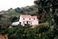 LA TEJA