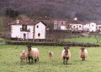 CASA ERROTALDEA