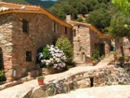 EL FAIG
