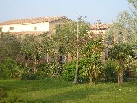 EL MOLÍ DE SIURANA