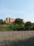 LES TORRES DE SELMA