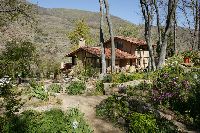 LA CASA DEL BOSQUE