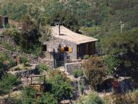 FINCA LA MALEZA