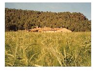 DEL VERDE AL AMARILLO EN EL VALLE DEL PIRÓN