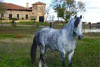 LA TORRECILLA